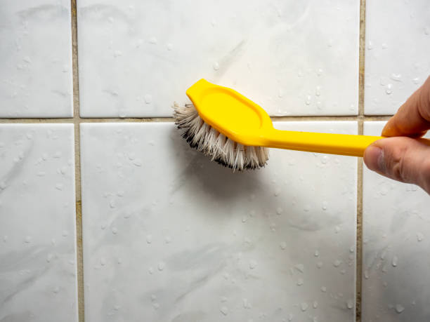 Best Emergency Mold Removal  in Townsend, DE