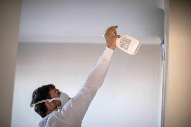 Best Crawl Space Mold Removal  in Townsend, DE