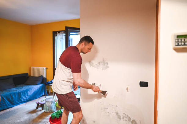 Townsend, DE Mold Removal Company